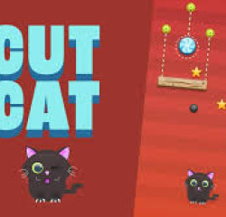 Cut For Cat